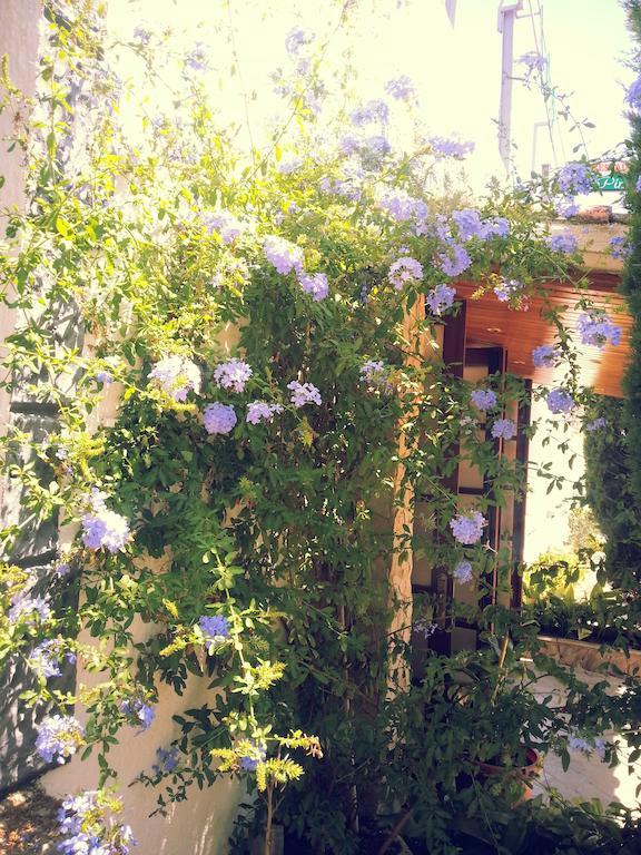 Guest house Pinares Lloret de Mar